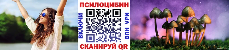 купить наркотики сайты Серафимович Галлюциногенные грибы Psilocybine cubensis